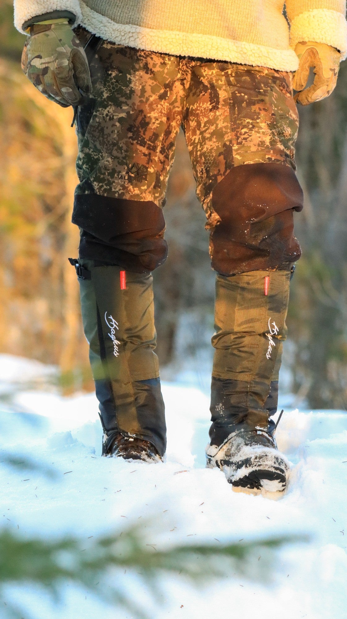 Haghus säärystimet